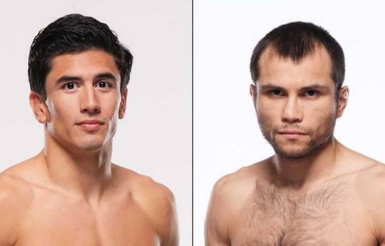 UFC Fight Night - Betting Odds, Prediction: Luna vs Pacheco