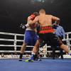 Results and photos of the undercard bouts in Brovary 204