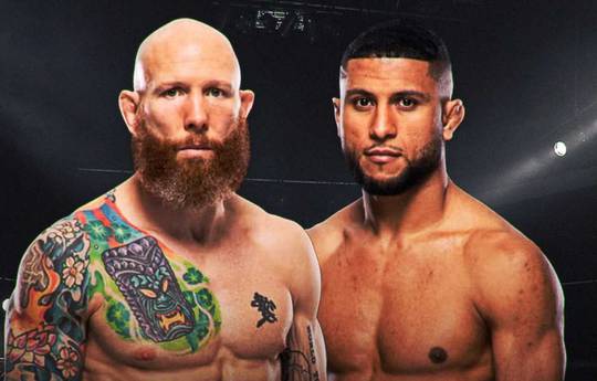 UFC 320 - Wettquoten, Vorhersage: Emmett gegen Zalal