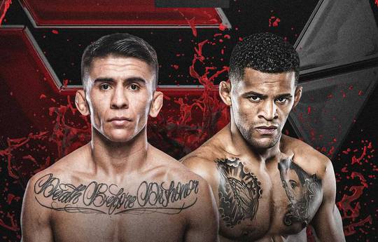 UFC 316 - Betting Odds, Prediction: Bautista vs Mix