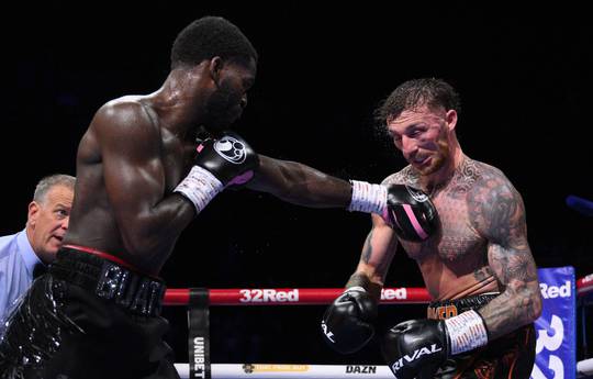 Буатси выиграл у Паркера по очкам