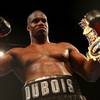 Dubois vs Dinu for interim WBA title