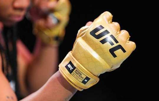 UFC fighter praised the promotion's new gloves