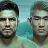 UFC Fight Night 252: online ansehen, Streaming-Links