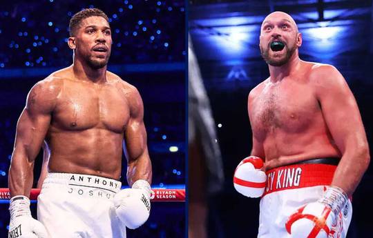 Lewis, favori d'un éventuel combat entre Fury et Joshua