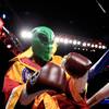 Bernard Hopkins 9