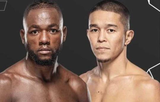 UFC Fight Night 253: ver online, enlaces de streaming