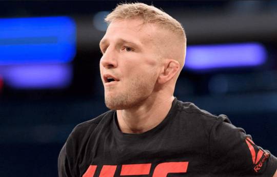 Dillashaw responds to Sterling's doping accusation