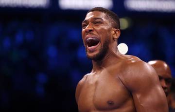 Joshua says he'll be back in the ring in December