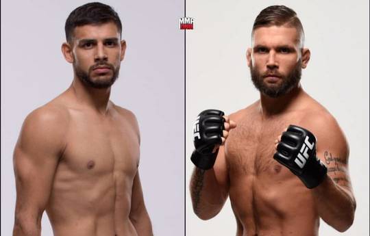 Rodriguez vs Stephens at UFC tournament in Mexico City