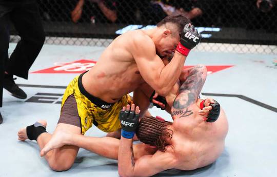 UFC Fight Night 249: early defeat Losses and other tournament results