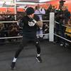 Davis at the open training session before Gamboa fight 8