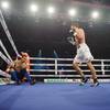 Results and photos of the undercard bouts in Brovary 37