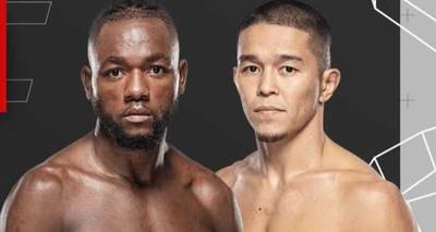 UFC Fight Night 253 : regarder en ligne, liens de streaming