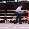 Miller knocks Adamek out in the second round