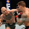 Poirier vs McGregor rematch in photographs 5