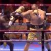 Boksen. Zhilei knock-out Wilder en andere resultaten