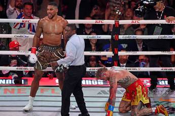 Роган дал совет Полу насчет боев