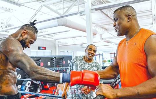 Wilder congratulates Ngannou on being included in the WBC rankings