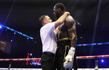 Babich: "Wilder should stop fighting."