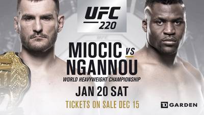 Файткард турнира UFC 220