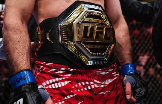 UFC 313: Pereira forfeits title and other tournament results