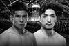 UFC Fight Night 257: Xiao vs Young You - Datum, Startzeit, Fight Card, Ort