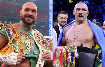 Wallin named the main condition for Fury's victory in the fight with Usyk