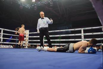 Malynovskyi and knockout in the first round (photo)