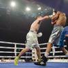 Results and photos of the undercard bouts in Brovary 130