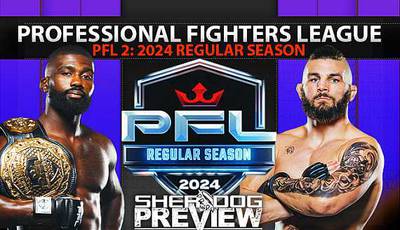 All early wins at the PFL 2 2024 tournament (video)