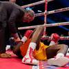 Adonis Stevenson vs Oleksandr Gvozdyk. Full fight video