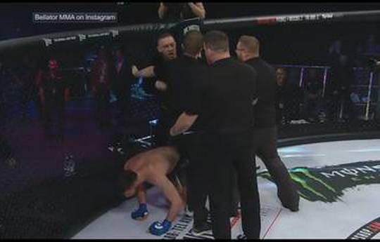 Conor McGregor attacked the referee at the Bellator 187 (video)