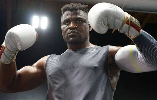 Evans: "Ngannou wordt wereldkampioen boksen aan het eind van het jaar"