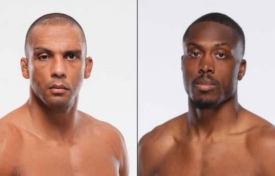 UFC 323 - Wettquoten, Vorhersage: Barboza vs Turner