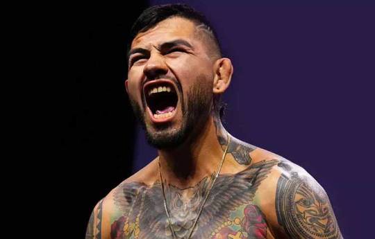 Ернандес назвав Чимаєва нудним бійцем