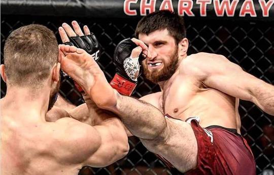 Ankalaev agrees that stoppage in Cutelaba fight was premature