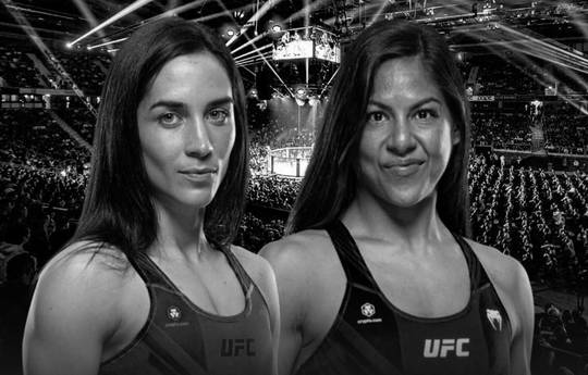 UFC 320: Hardy vs Walker - Datum, Startzeit, Kampfkarte, Ort