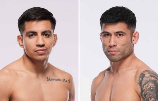 UFC 317 - Wettquoten, Vorhersage: Amil gegen Delgado