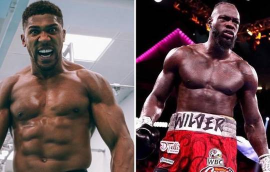 Wilder and Joshua will sign a contract for fight in 2-3 weeks