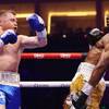 Alvarez defeated Skalla and other results of the boxing evening in Riyadh