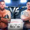 UFC 309 - Weddenschappen, voorspelling: Tybura vs Diniz