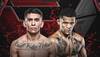 UFC 316 - Wettquoten, Vorhersage: Bautista gegen Mix
