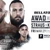 Результаты турнира Bellator 219