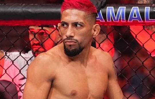 UFC op ESPN 67: Jackson tegen Marcos - Datum, Starttijd, Fight Card, Locatie