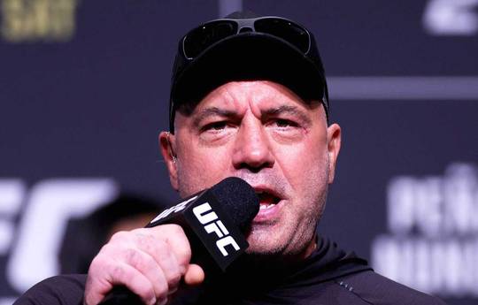 Rogan zum gefürchtetsten Kämpfer der UFC ernannt