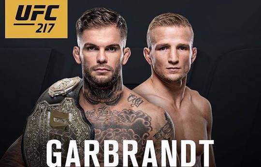 Официально: Гарбрандт – Диллашоу – на UFC 217 в Нью-Йорке