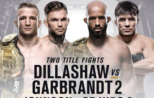 Файткард турнира UFC 227