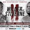 Wilder vs Stiverne 2 Preview