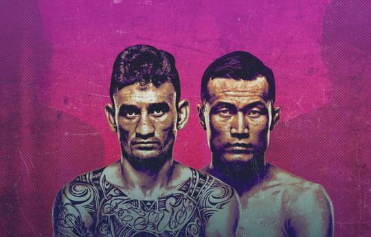 UFC Fight Night 225. Холлоуэй против Корейского Зомби: смотреть онлайн, ссылки на трансляцию